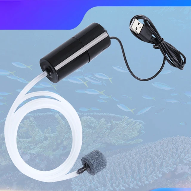 Tragbare Aquarium Sauerstoff Luftpumpe USB leise Luftpumpen mit Luft Stein  Aquarium Belüfter Mini Sauerstoff pumpe Aquarium Zubehör - AliExpress