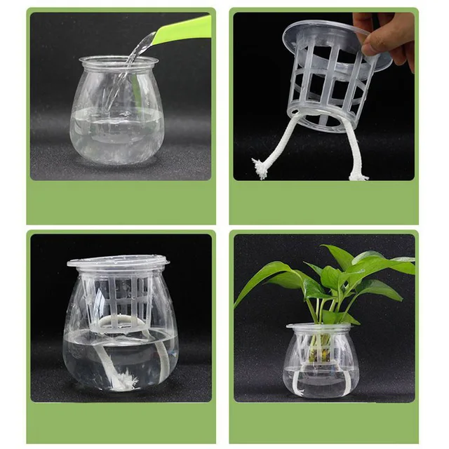 Filet en maille hydroponique sans sol, 50 pièces, panier pour plantes, légumes, tasse de pépinière, Pot, plateau éponge, jardinière végétale aéroponique, colonisation clone q1 6