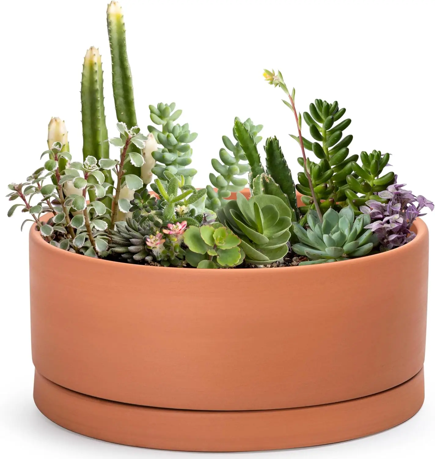 Terracotta planter image 1