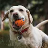 Pet Chewing Toys Dog Toy Interactive Balls