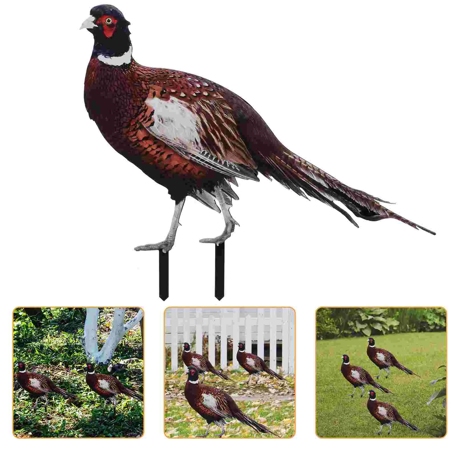 

The Sign Pheasant Garden Decoration Animals Outdoor Stake Adornment Acrylic Chicken Yard