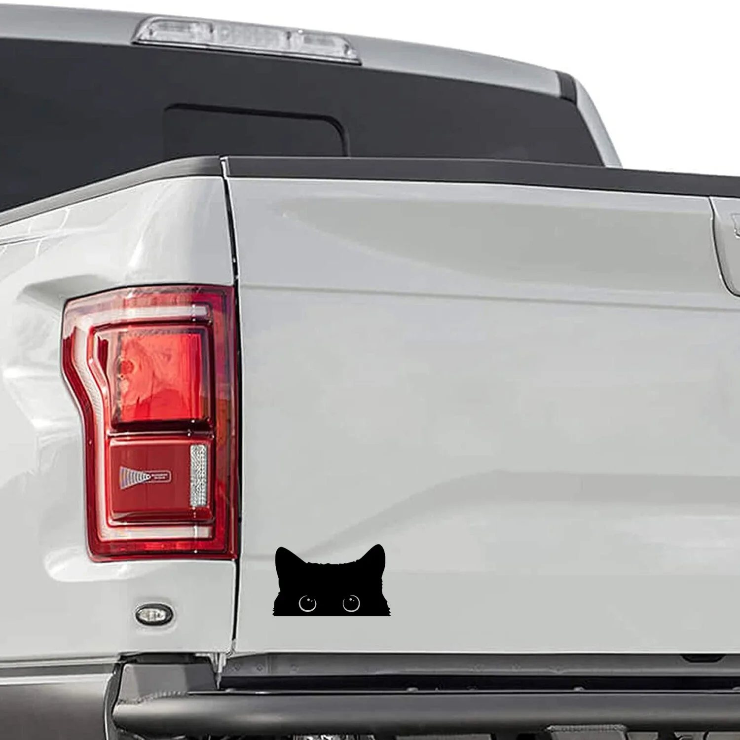 Cute Poor Cat Vinyl Car Sticker 5