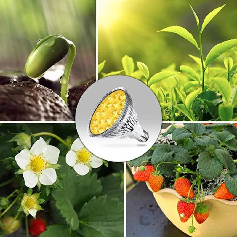 PAR38 Plant Growth Light 54W Yellow Full Spectrum 625nm / 660nm Indoor Seedling Succulent Fill Light Bubble 36W Grow Kit