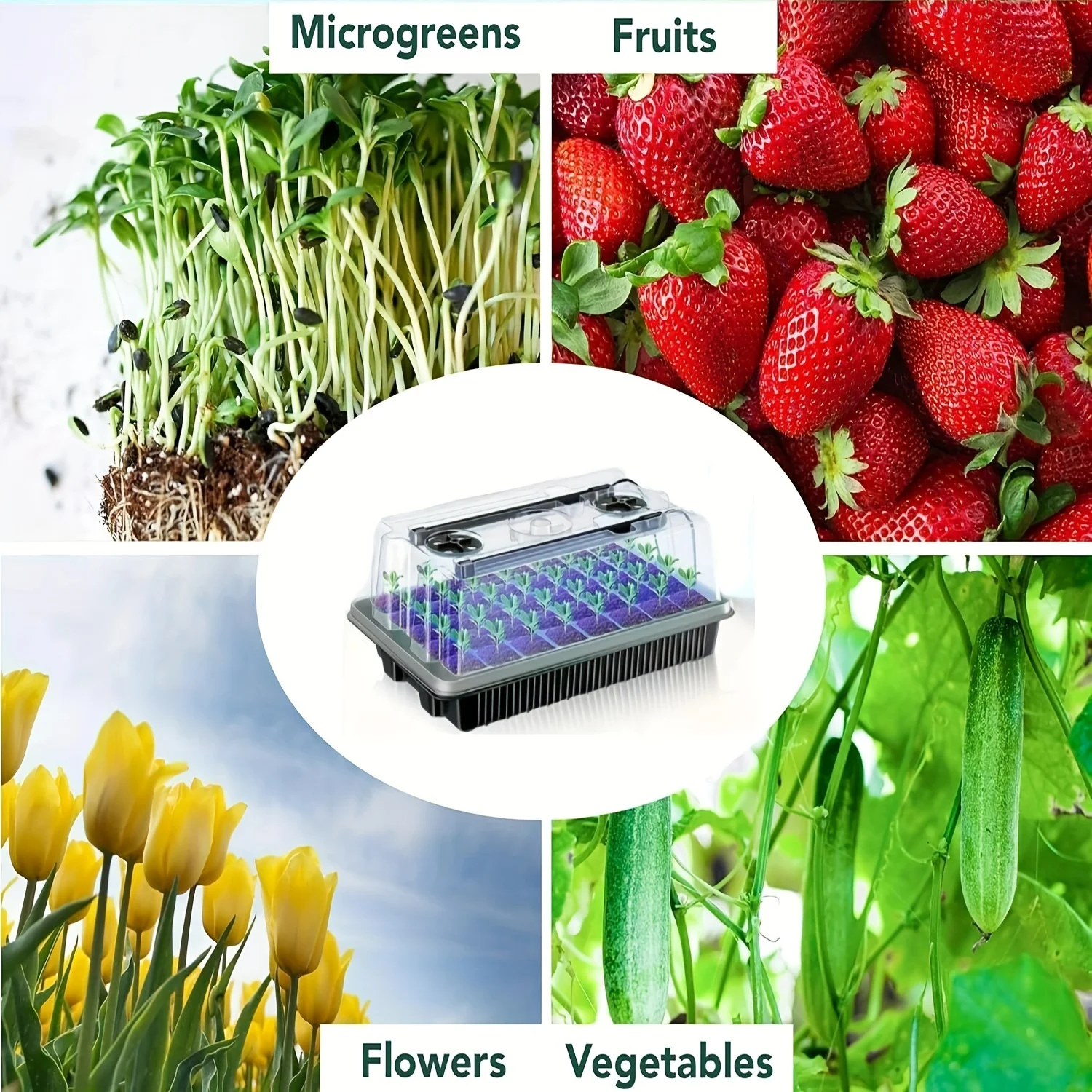 Seed Starter Kit with Grow Lights & Humidity Control - Indoor Plant Germination and Propagation Tray