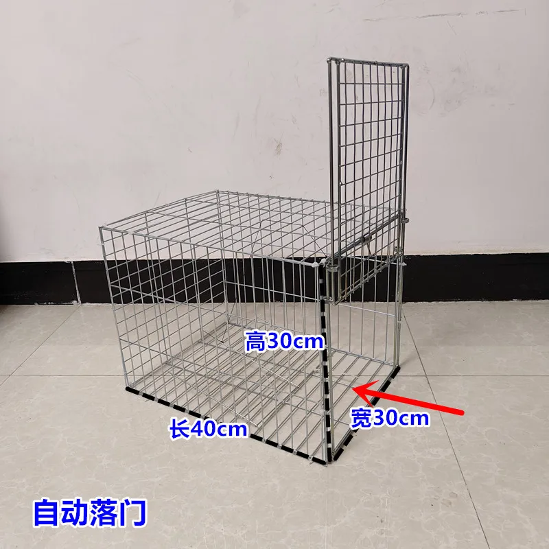 40 30 30
