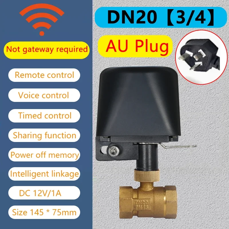 WiFi DN20 AU Plug