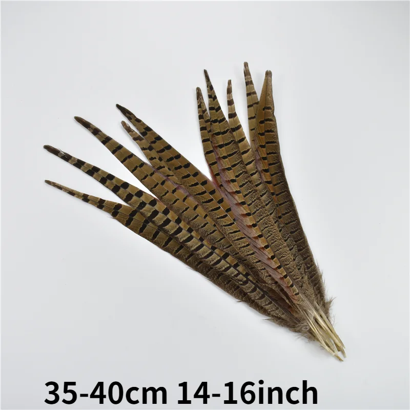 10 Pieces - 10-12 Natural Reeves Venery Pheasant Tail Feathers