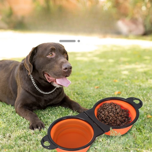 Pet Folding Bowl Convenient One piece Outdoor Silicone Folding Double Bowl Outdoor Dog Water Feeding Bowl Dog Basin Pet Supplies 2