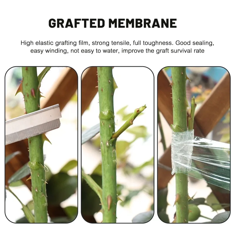 Grafting Tape 500/100m Self-adhesive Grafting Film Tapes Transparent Stretchable Ties Tape for Fruit Trees Plants Support Home Garden Supplies