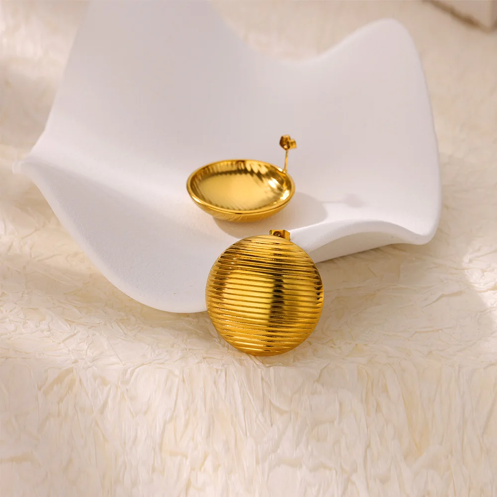 Stripe Stainless Steel Earrings for Women
