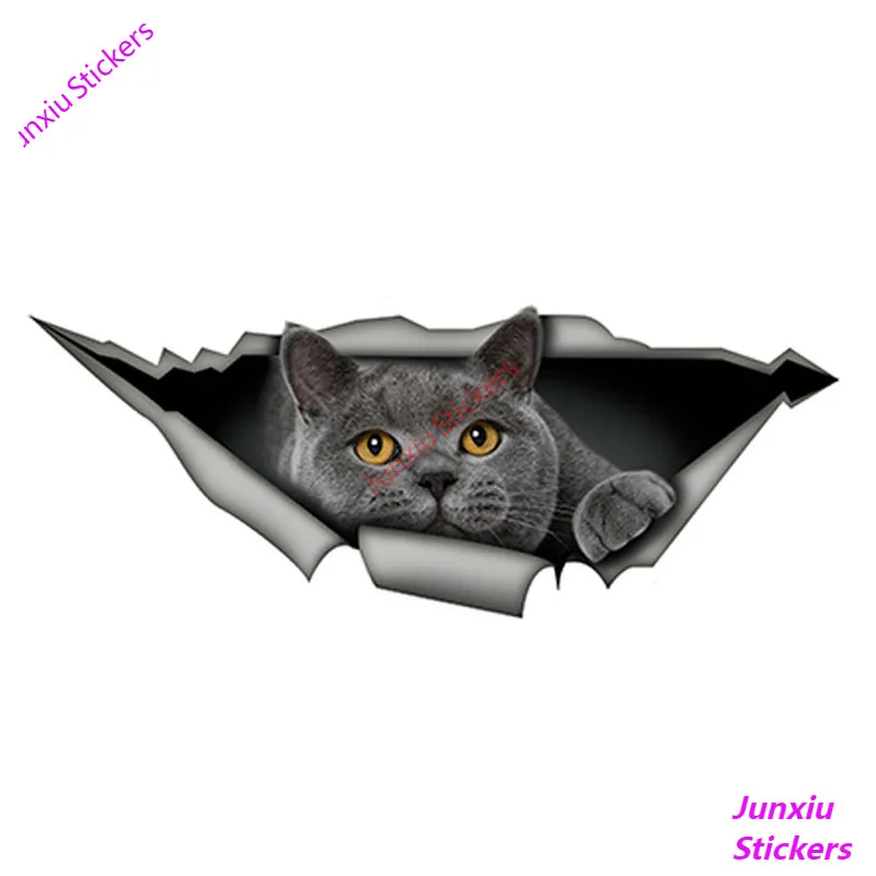 

Забавные наклейки на автомобиль, наклейки на заднее лобовое стекло, бампер KK15 * 6 см