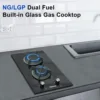 Gas Cooktop 2 Burner Propane Cooktop, 12 Inch LPG/NG Dual Fuel Gas Stove Top, Built-in Tempered Glass Gas Cooktop for Apartment, 2