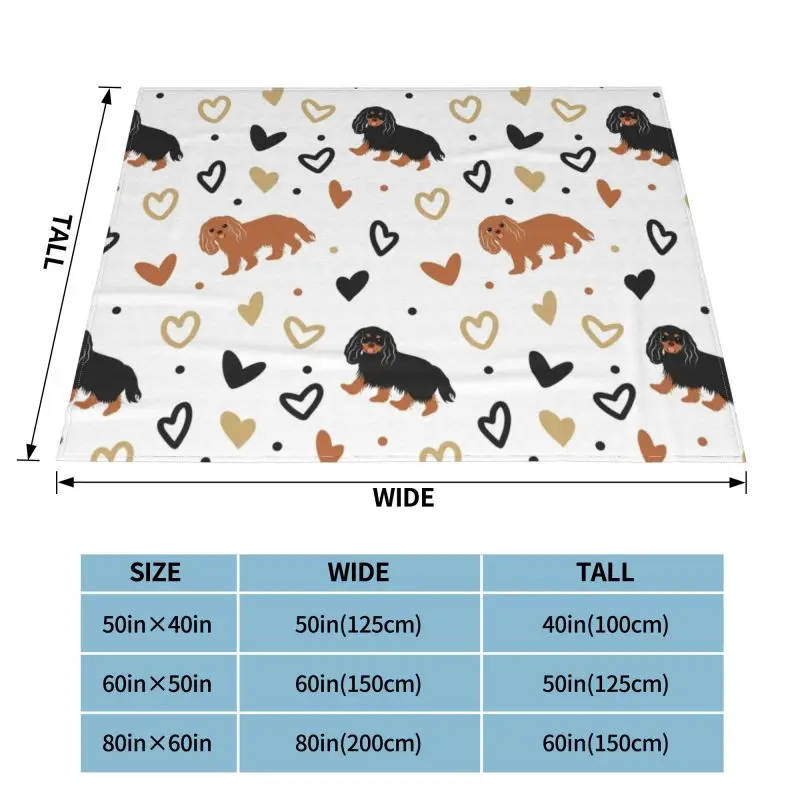 ���� ī�߸��� ŷ ���� ���дϾ� ��Ʈ�� ����Ʈ �ø��� ���, ������ �ö��� �� ��� ħ�� ���� ���� ħ�뺸