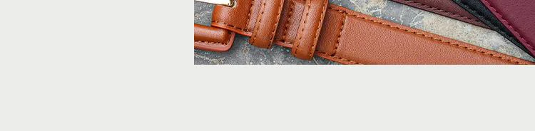 Modischer Damen-Ledergürtel Luxuriöser Schmaler Designer-Gürtel Vintage-Schnalle Vielseitiger Dekorativer Gürtel für Mantel, Kleid und Jeans – Detail 6