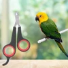 Pet Nail Claw Grooming Scissors Clippers for Dog Cat Gerbil Small Animals Newest Rabbit  Home Portable  Pet Products Accessories 4