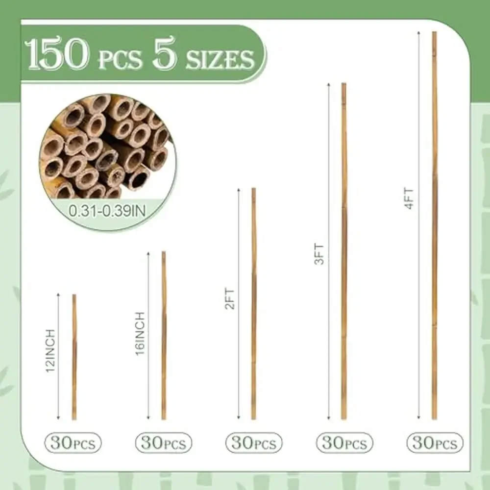 150 Pcs Bamboo Garden Plant Stakes 12'' 16'' 2 3 4 ft Supports Trellis Set Indoor Outdoor Plants Quality Durable Bamboo Poles