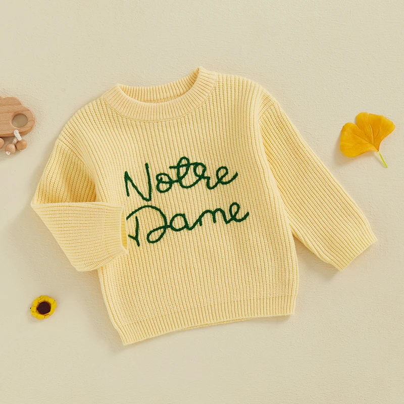 S29ecb95ce3cc41db91a2dee77f4990503.jpg 2024-09-18 Lioraitiin 2 Colors Toddler Kids Baby Boys Fall Sweater Letter Embroidery Long Sleeve Crew Neck Knitwear Pullover - Image 4