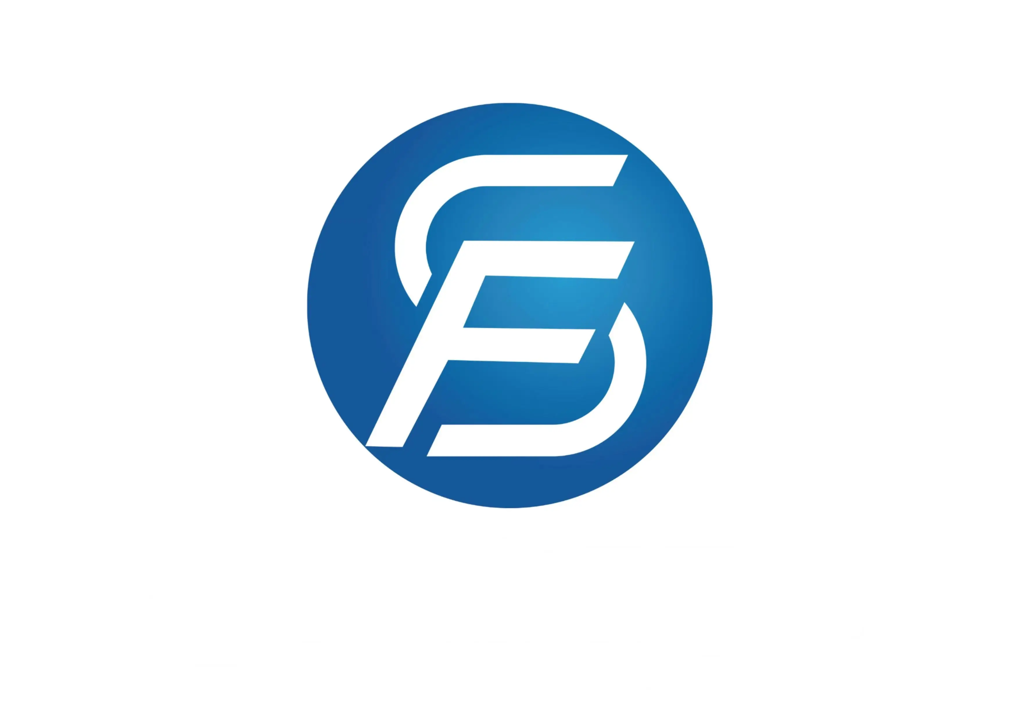 Fusheng Micro Technology Store