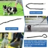 Pet Dog Double Leashes - 3