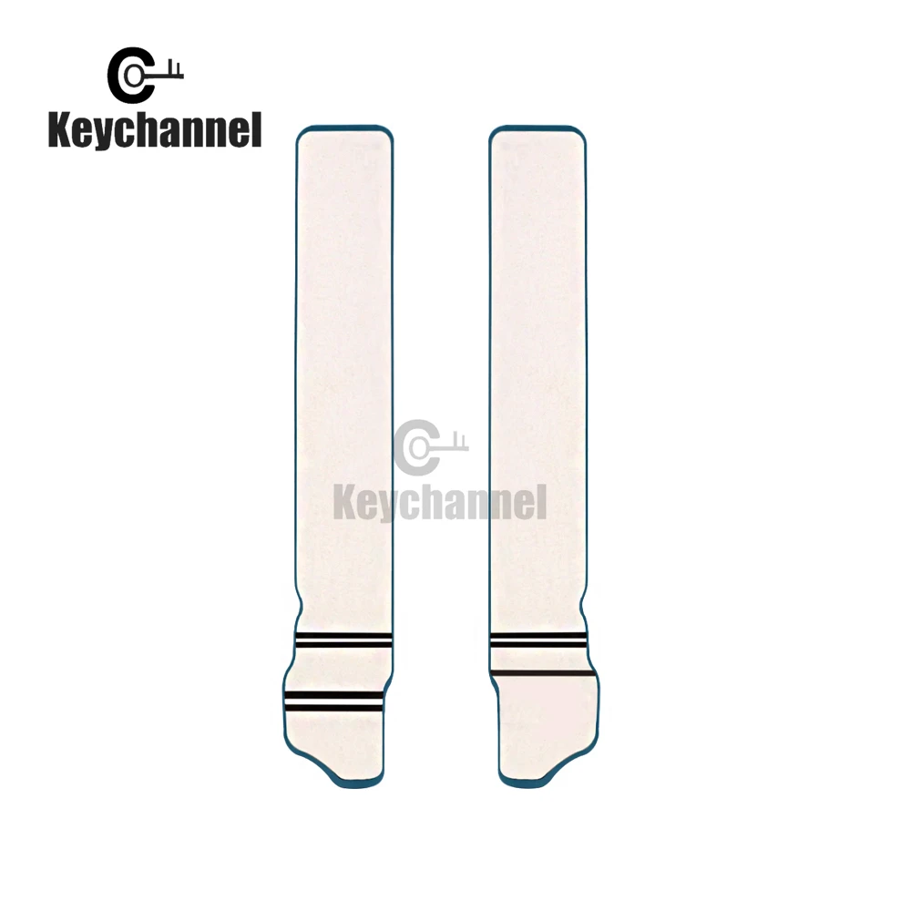 Рисунок 2 - Пульт дистанционного управления Keychannel 10 шт