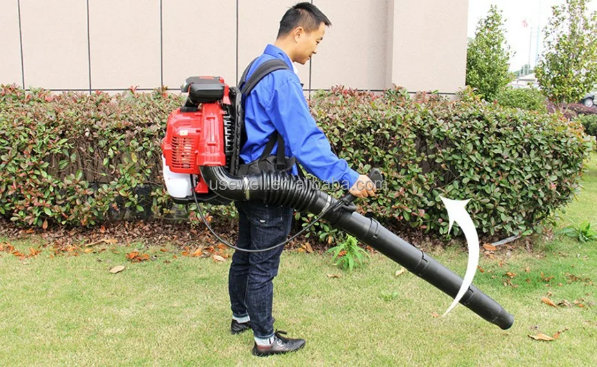 HOT SALE - Portable Hand-Push Gasoline Vacuum Leaf Blowing Backpack air  Blower Truck Mounted Electric Throttle Snow Blowers - AliExpress