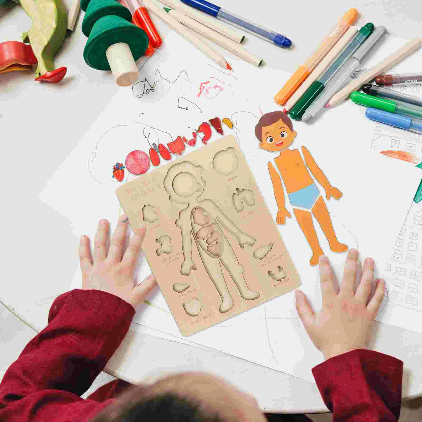 

Human Body Structure Puzzle Kids Toys Children Recognition Educational Organs Learning Early Teaching Tool Three-dimensional