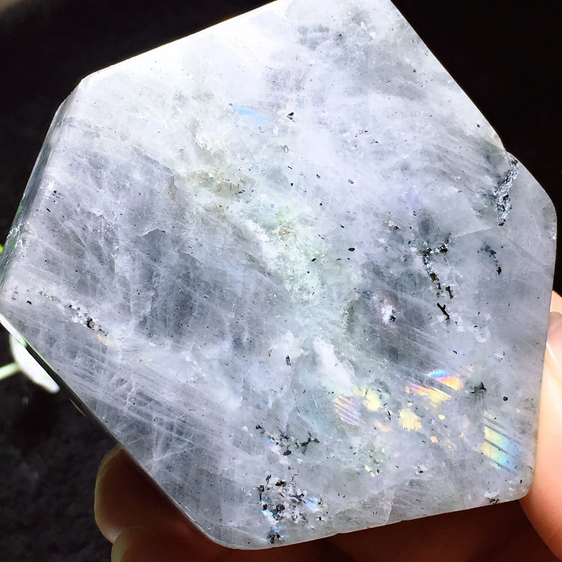 Labradorite Freedom 2430