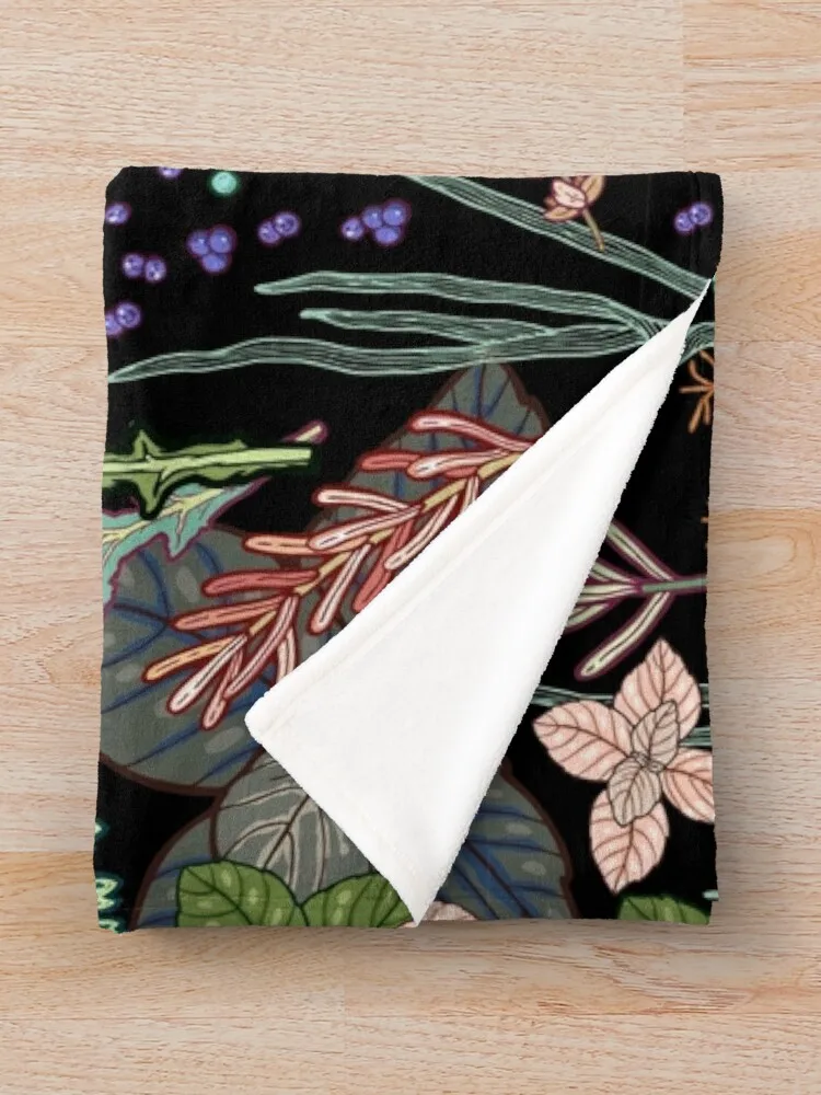 ���� �� ���, �ź��� ��� ���