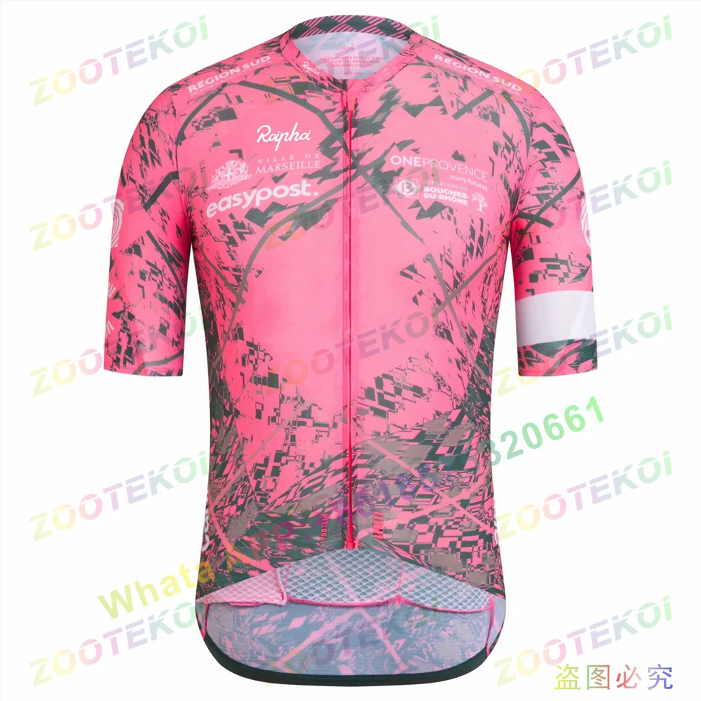 thumbnail image 1 of 2022 Maillot de ciclismo Pro Team Verano de manga corta para hombre Ropa de ciclismo de montaña de descenso Maillot de secado rápido para bicicleta, 1 of 4