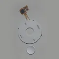 White with button
