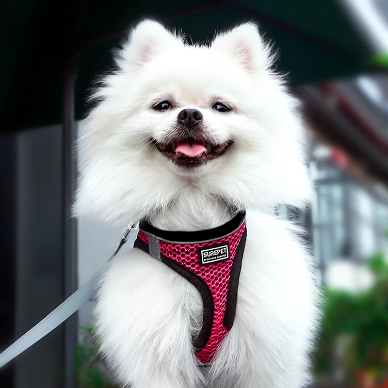 best flea collar for dogs Walk-in Dog Harness Breathable Mesh Vest Harness Reflective Harness Dog Leash Chest Strap Medium and Small Dog Vest dog harness custom dog collars