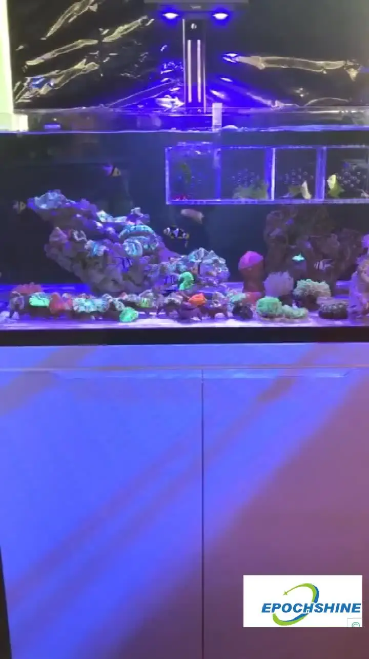 KZ Coral Light t5 アクアリウムライト T5 Coral Light New Generation