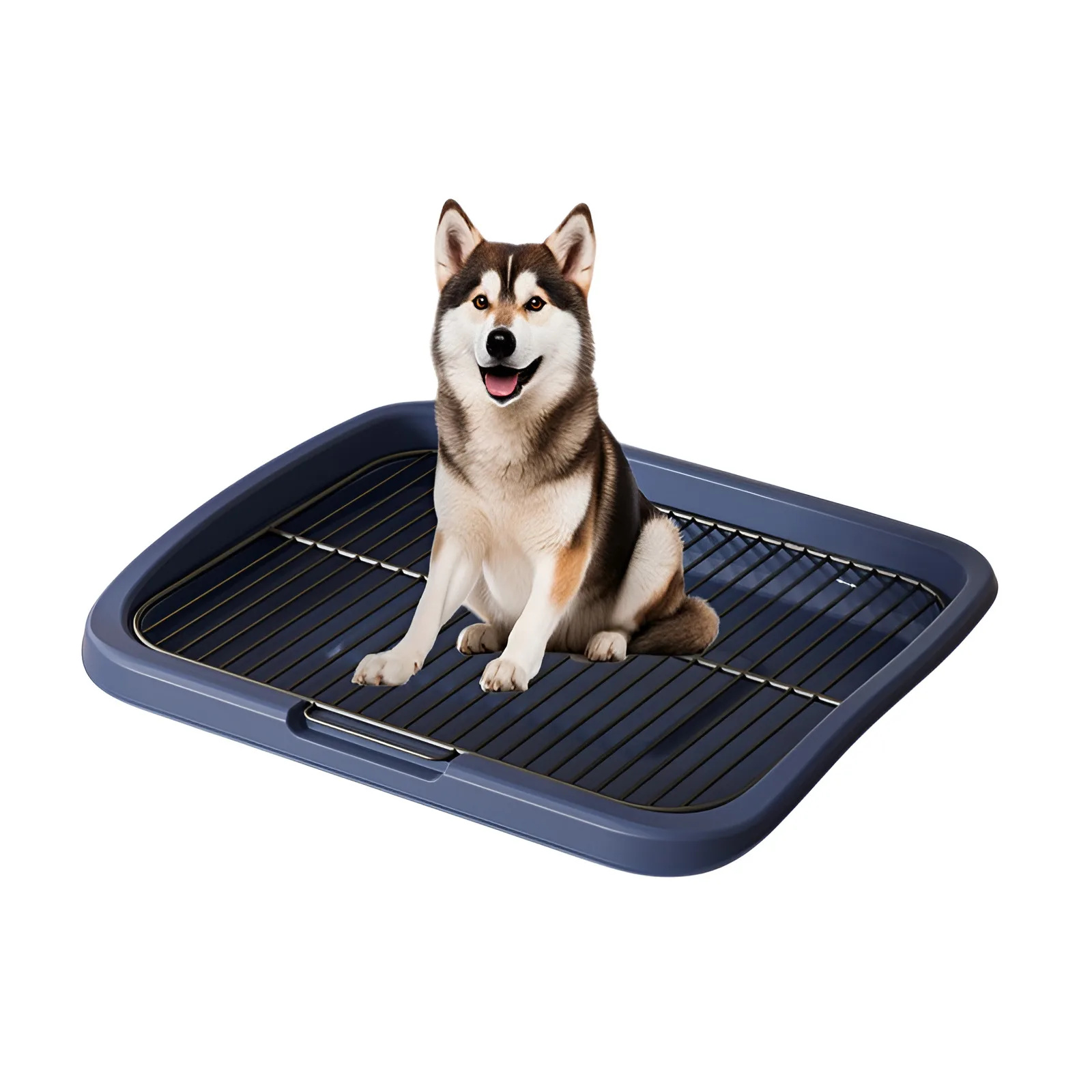 24kg-Navy blue