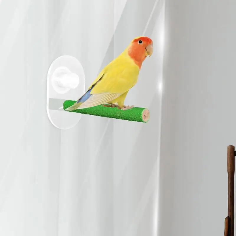 Perca De Seguridad Con Protector Antimordeduras Para Loros Medianos (1.5 Pulgadas)