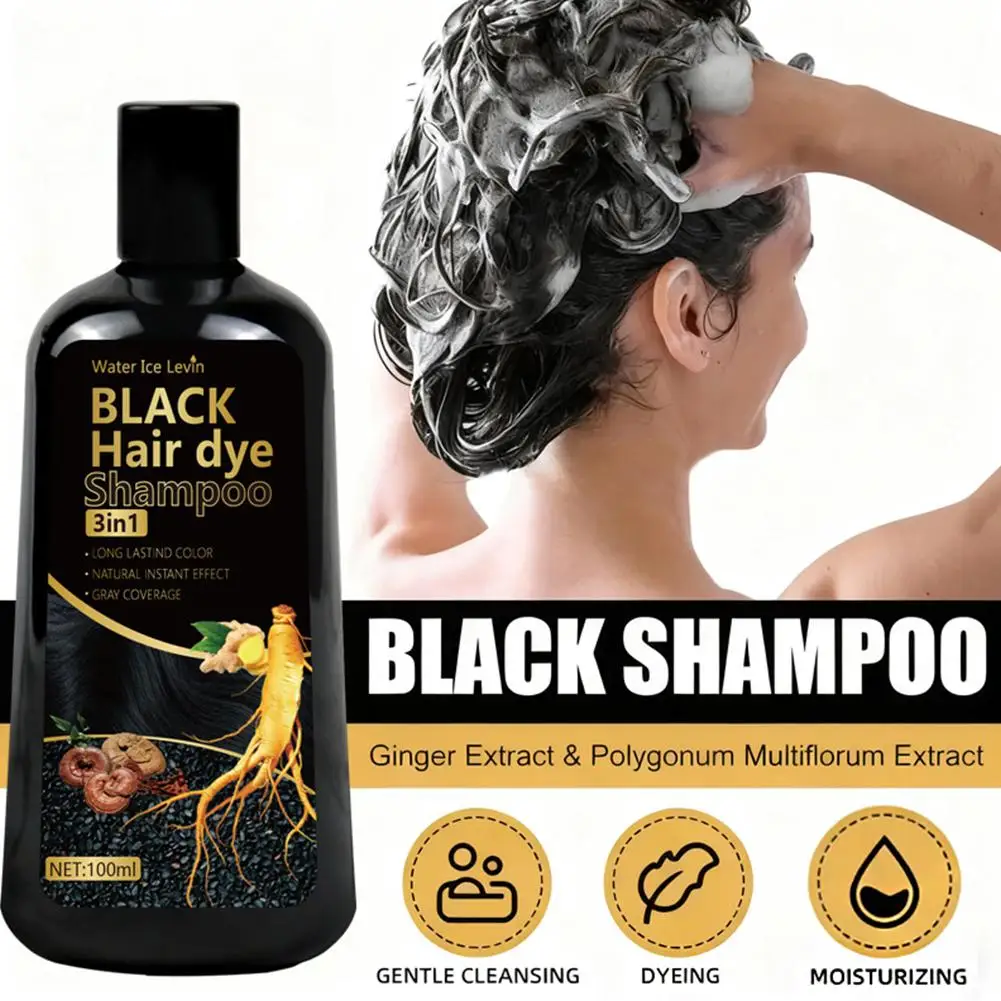 Black Hair Dye Shampoo 3in1 with Ginger & Biotin - Long Lasting Color & Gray Coverage for Vibrant Hair R3Z8