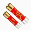 New Voice HIFI Single Crystal Pure Silver Nano Fuse Fuse with Gold Plated Cap Audio Safe Tube 5x20mm 2