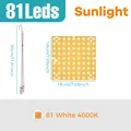 Sunlight-150W
