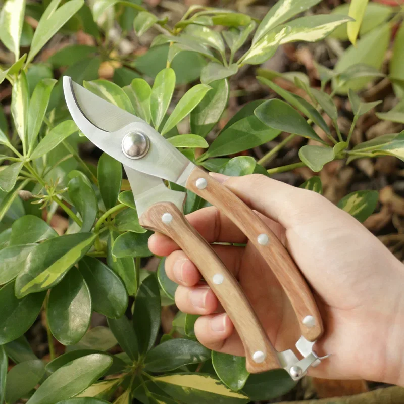 Slide image f3707a90a887470a8ba6bc044d4da25f