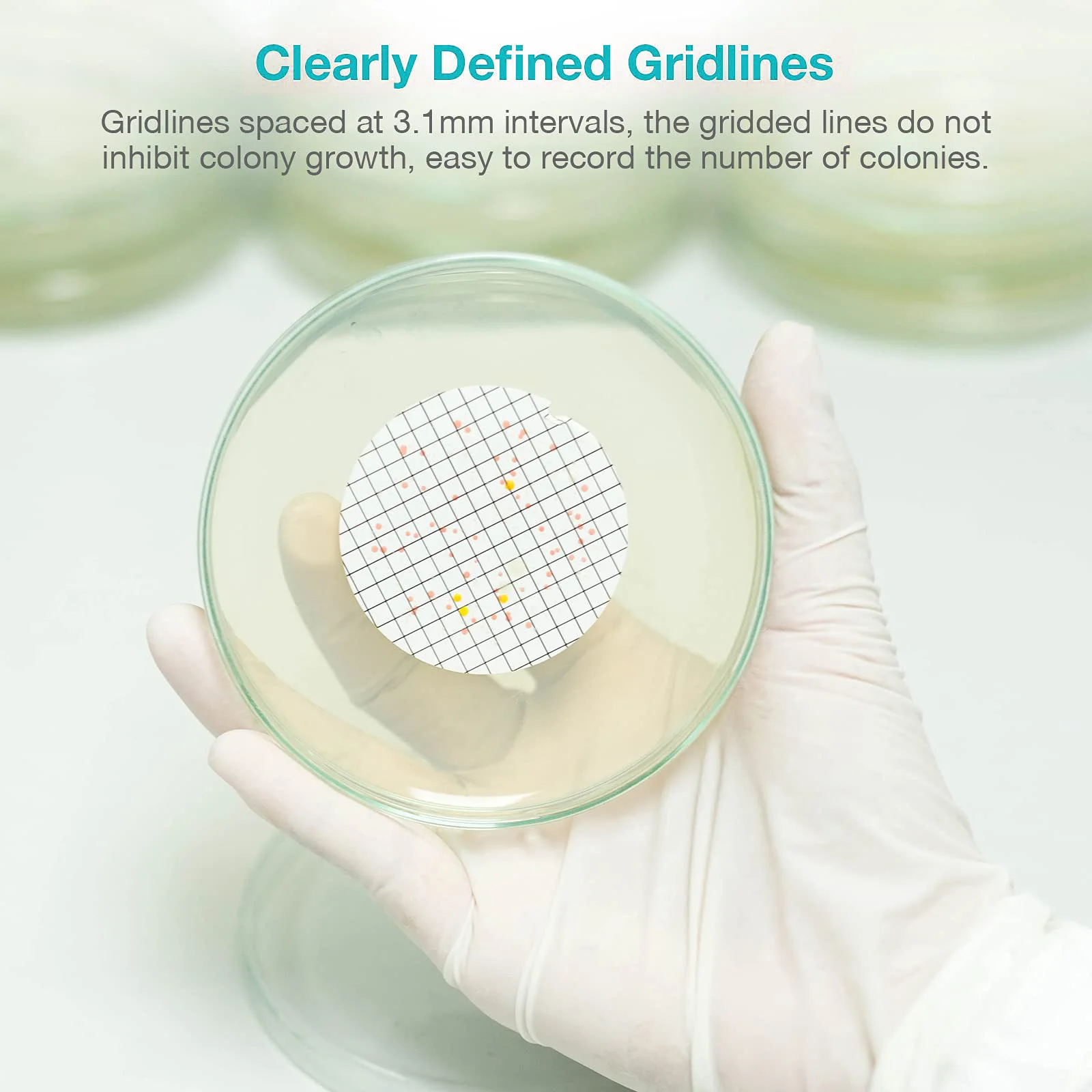 SELTON 25PCS 47mm Sterile MCE Gridded Membrane Filter 0.45um Lab Hydrophilic Filter Paper