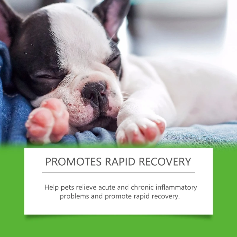 New Quiet Moment Calming Aid Dog Supplement Mineral Fortified Pet Anxiety Reliefs for Dogs Improved Rest
