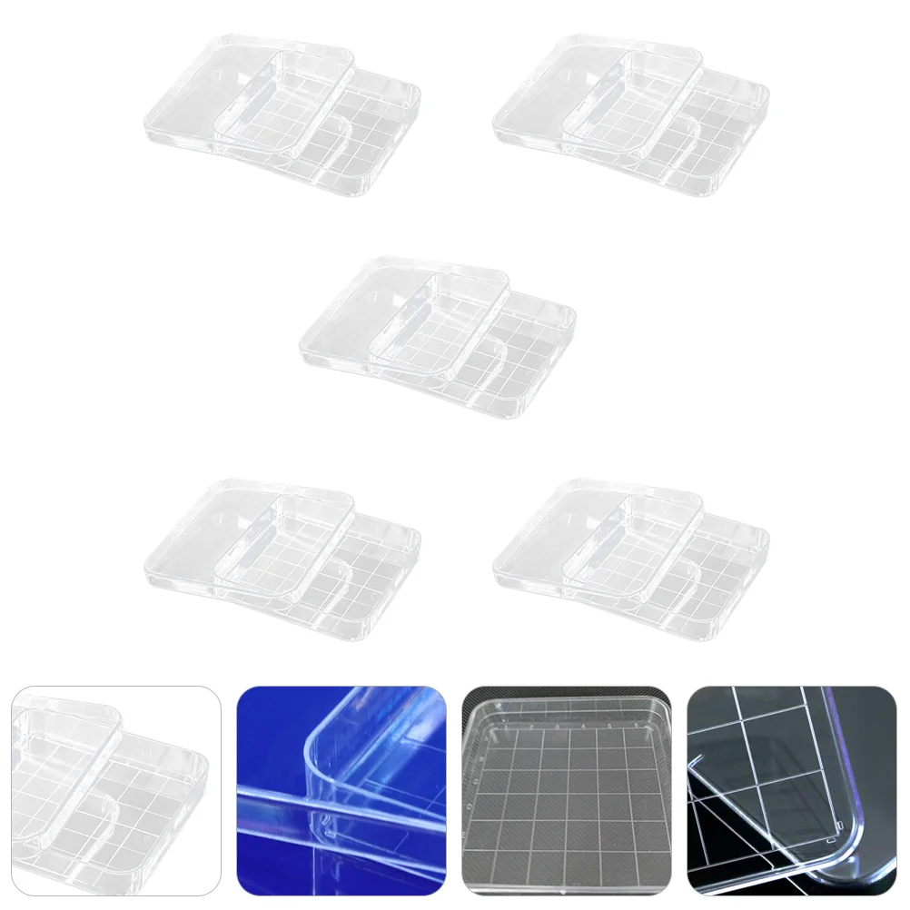 

Specimen Dish Science Experiments for Kids Petri Culture Yeast Laboratory Plastic Child