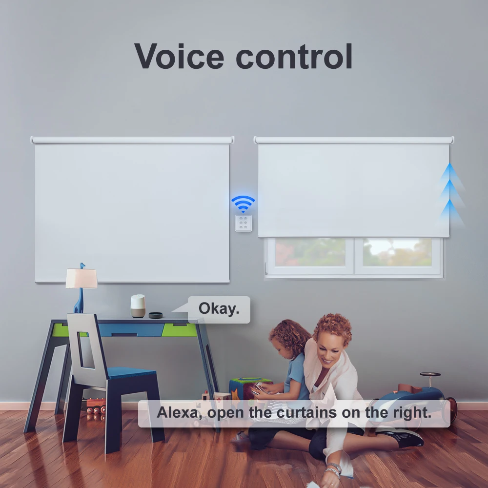 LoraTap Tuya 스마트 라이프 WiFi 롤러 셔터 전기 모터 용 더블 커튼 블라인드 스위치 Google 홈 Alexa Voice Automatic