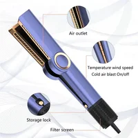 2 in 1 Professional Hair Straightener Hair Dryer Wet & Dry Air Styling Hair Straightener Air Wrap Negative Ion Portable Clamps 2
