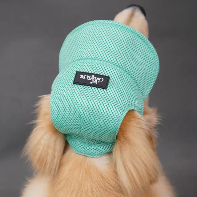 New Summer Pet Dog Hat Breathable Sun Protection Ears Exposed Design Golden Retriever Dog Cap Summer Shade Pet Accessories