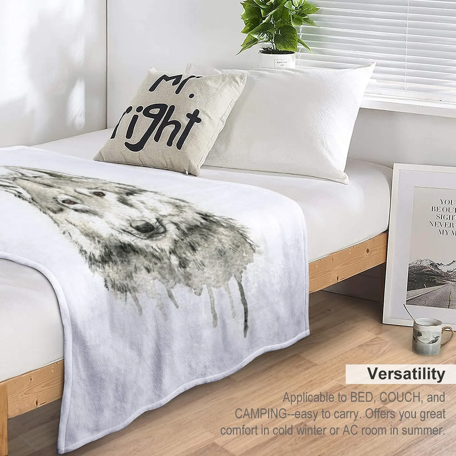 ���� ������ ���, ����� ���� ���, ���� ���