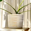 9 Inch Ceramic Plant Pot - Matte White with Gold Stripes - Drainage Plug Included 4