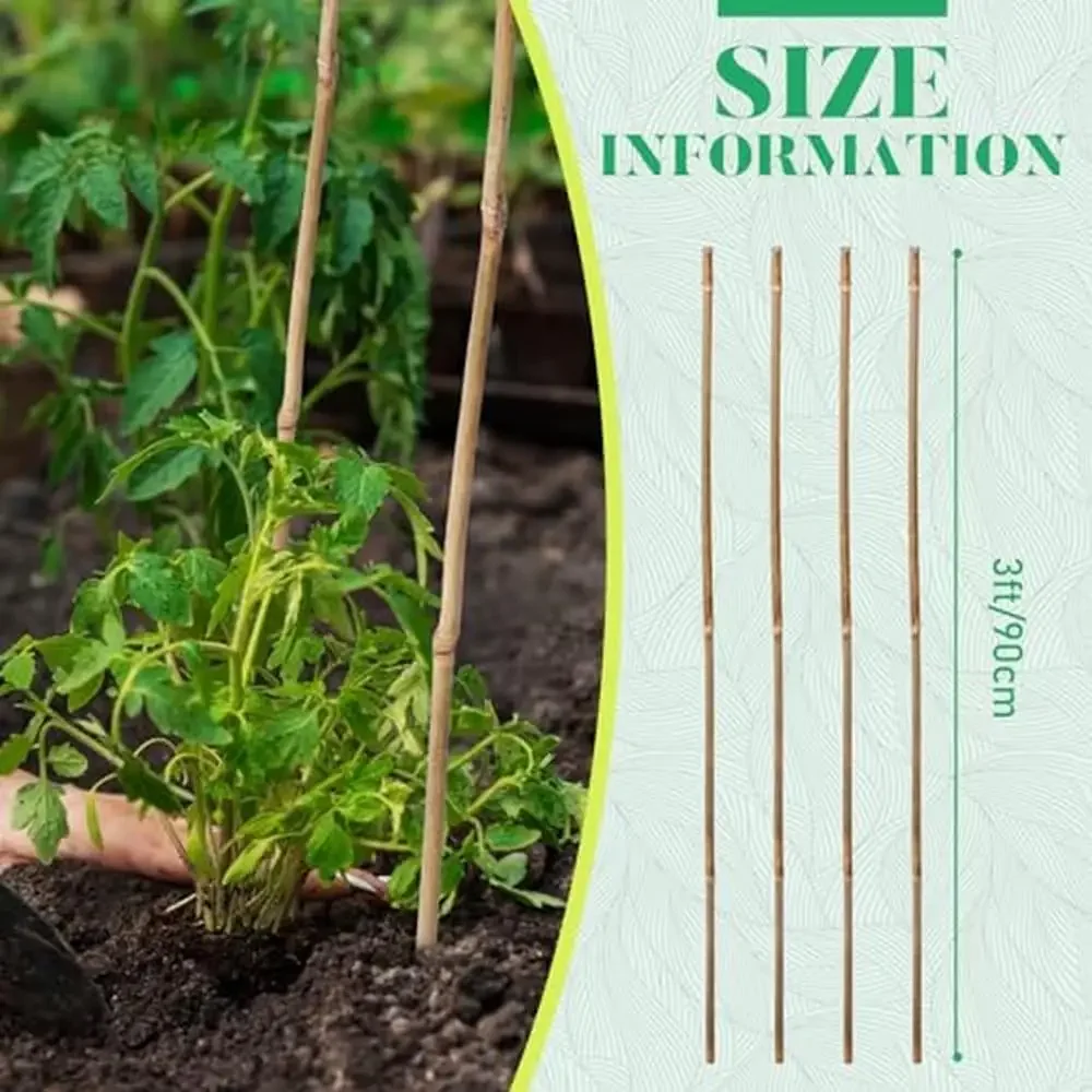 100 Pcs Bamboo Plant Support Stakes Tomato Bean Flowers Trees Indoor Outdoor Garden Sticks Reliable Durable Quality Easy