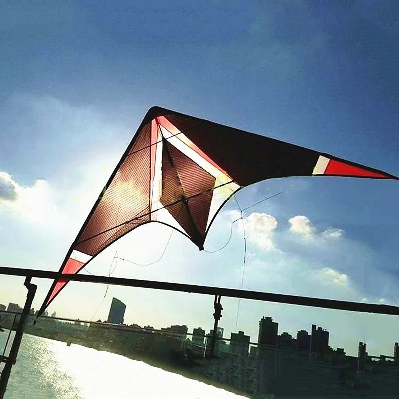 

free shipping dual line stunt kites freilein kites professional kites for adults parachute kite steering kite kitesurfing kites