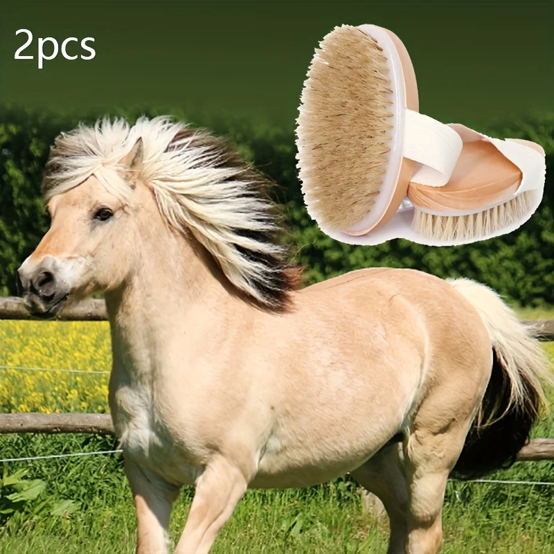 2pcs Natural Horse Hair Detangling Brushes 4