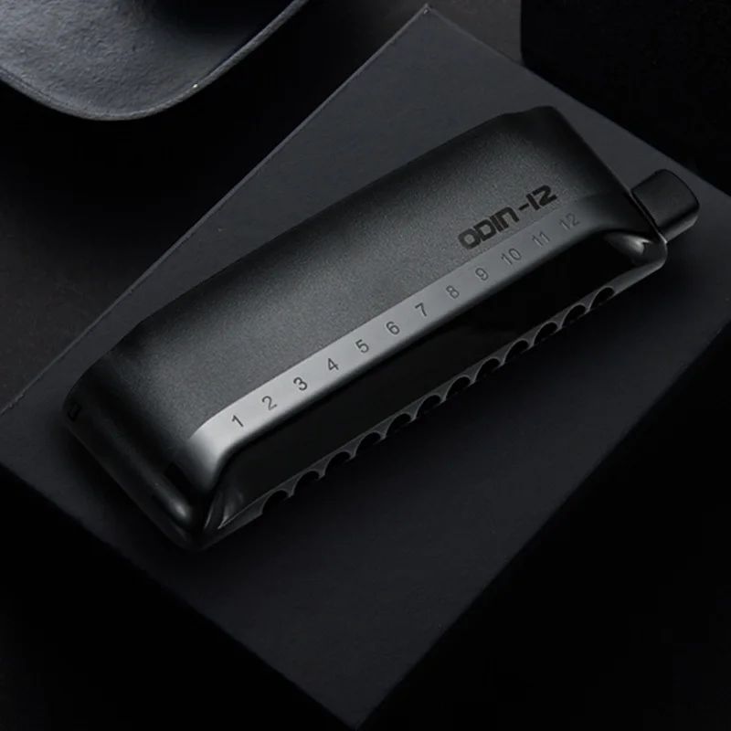 Viking Age Odin 12-Holes Easy Quick Disassemble Chromiatic Harmonica